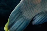 UNIVERSE 画像